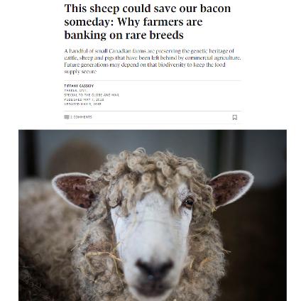The story image shows a close up of a white sheep's face. The headline says 
